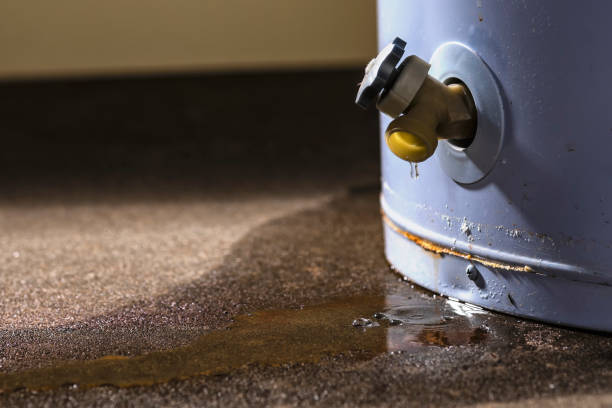 Best Water damage restoration near me  in Narberth, PA
