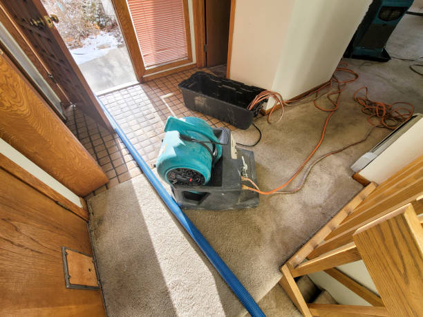 Best Sewage cleanup and water damage restoration  in Narberth, PA
