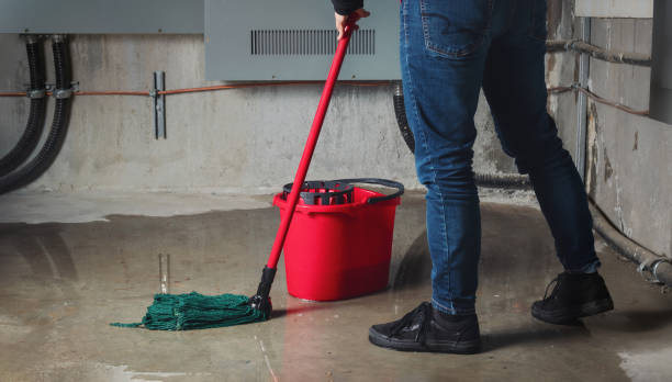 Best Residential water damage restoration  in Narberth, PA