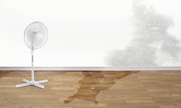 Best Basement water damage restoration  in Narberth, PA