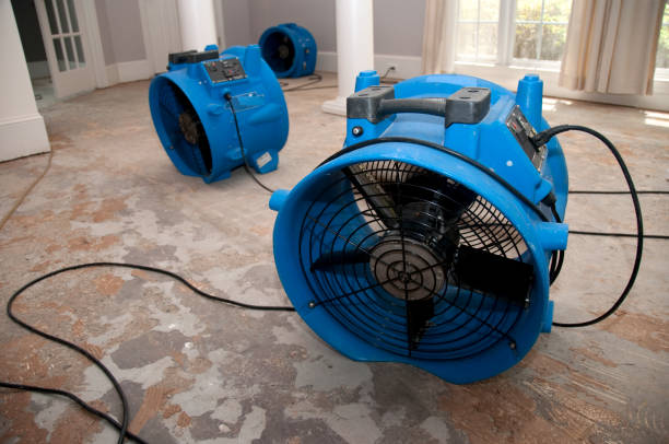 Best Water damage repair service  in Narberth, PA