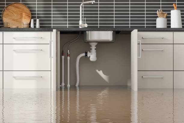 Best Carpet water damage restoration  in Narberth, PA