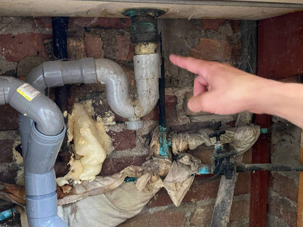 Best Ceiling water damage repair  in Narberth, PA